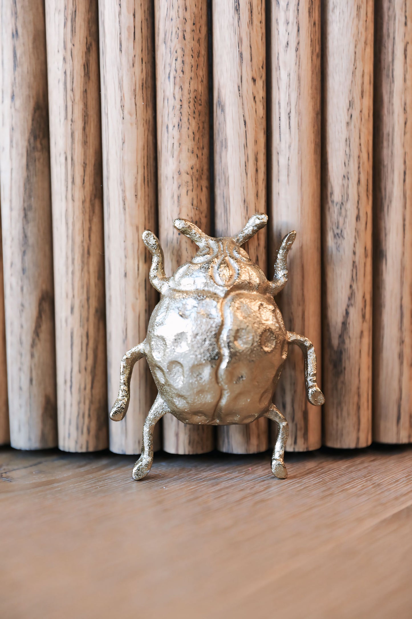 Cast Gold Ladybug Wall Decor