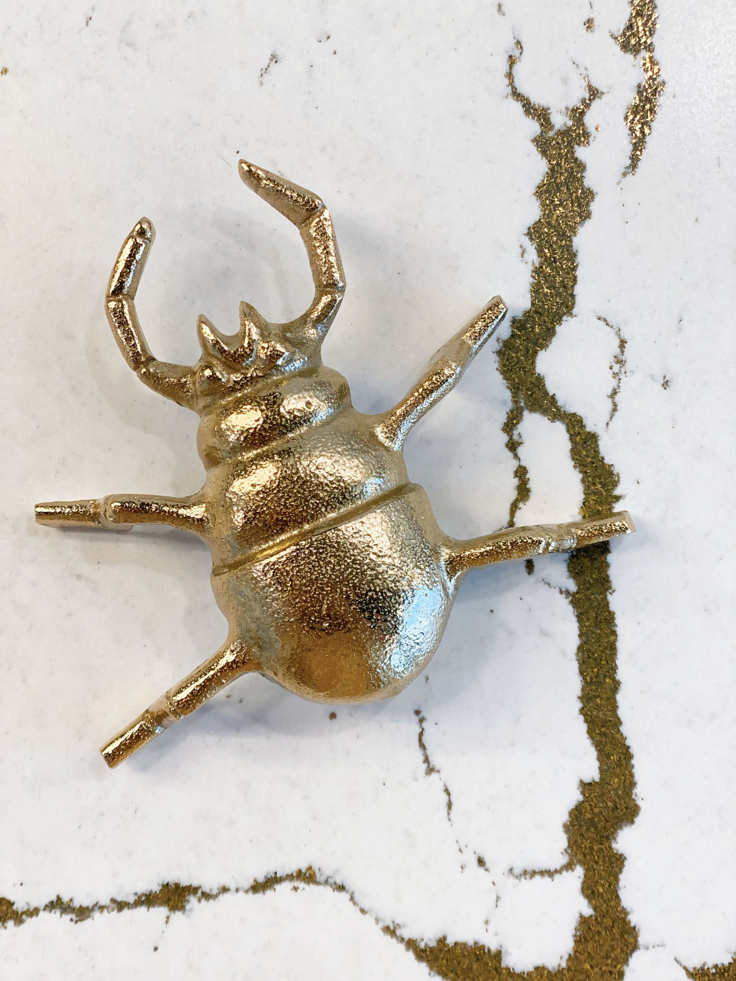 Cast Gold Beetle Small Wall Decor