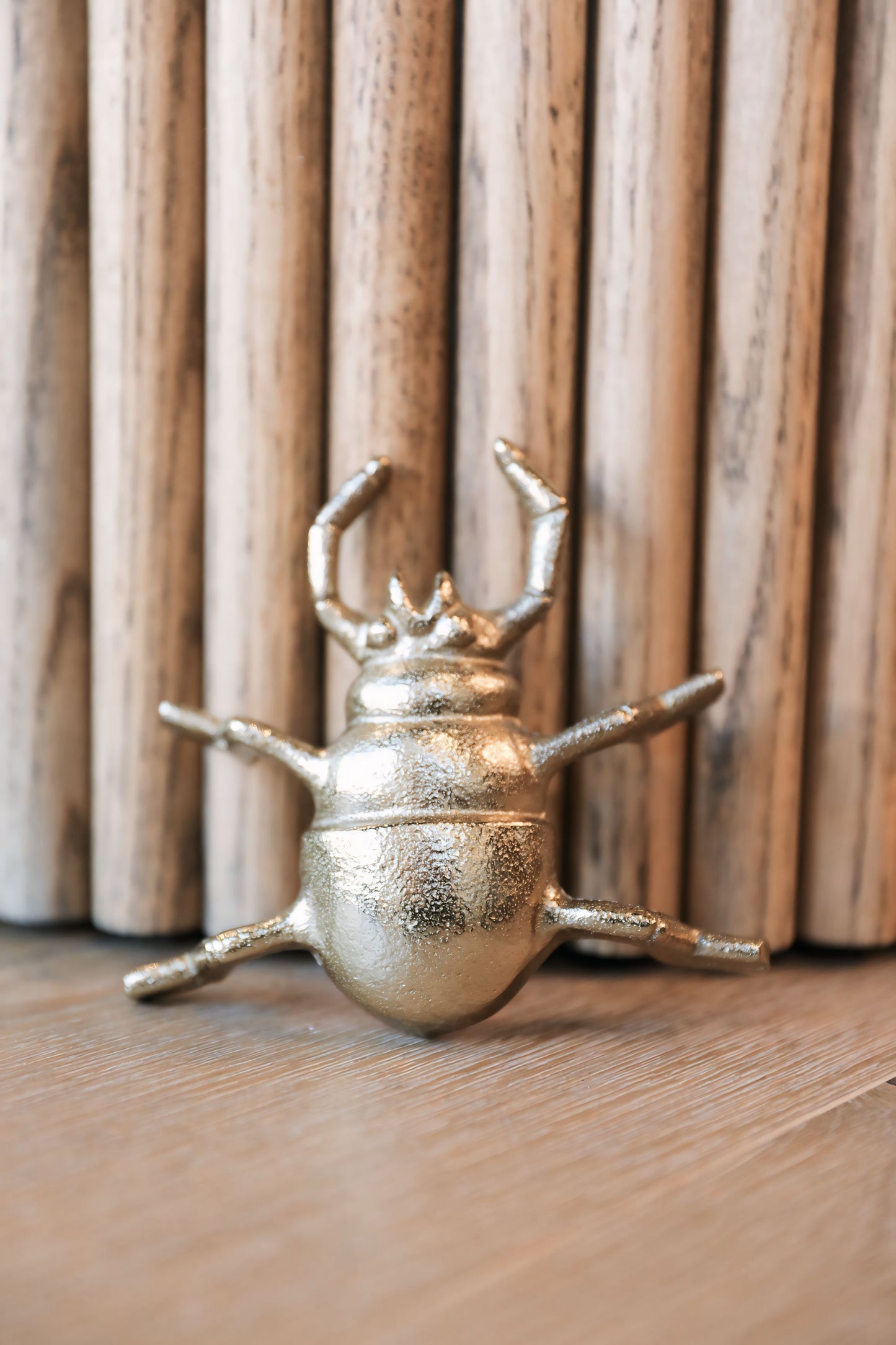 Cast Gold Beetle Small Wall Decor