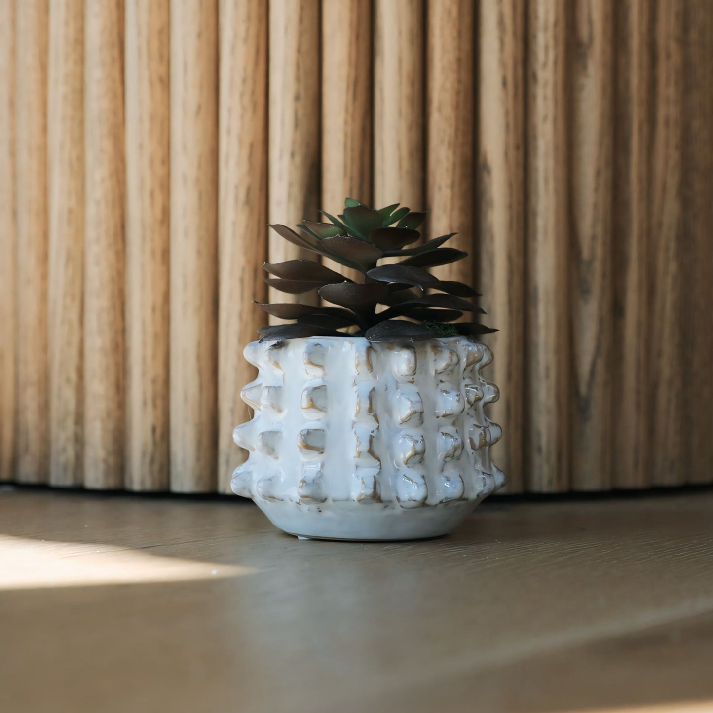 Stoneware Sculptural Planter w/ Succulent