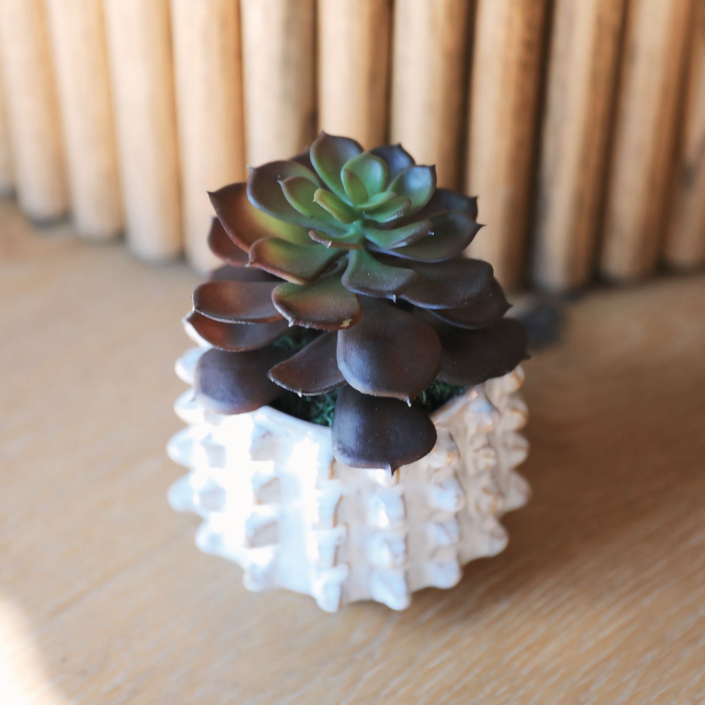 Stoneware Sculptural Planter w/ Succulent