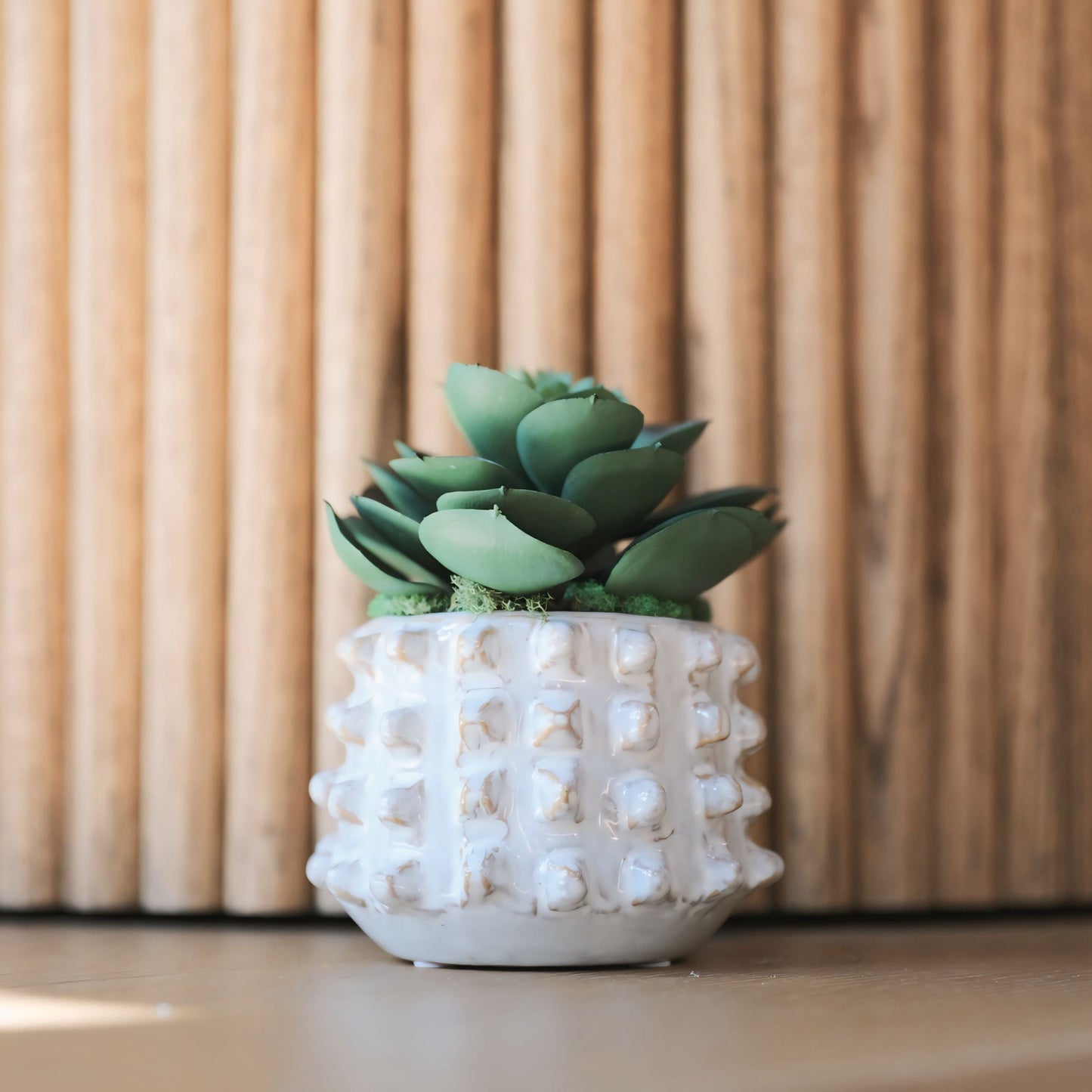 Stoneware Sculptural Planter w/ Succulent