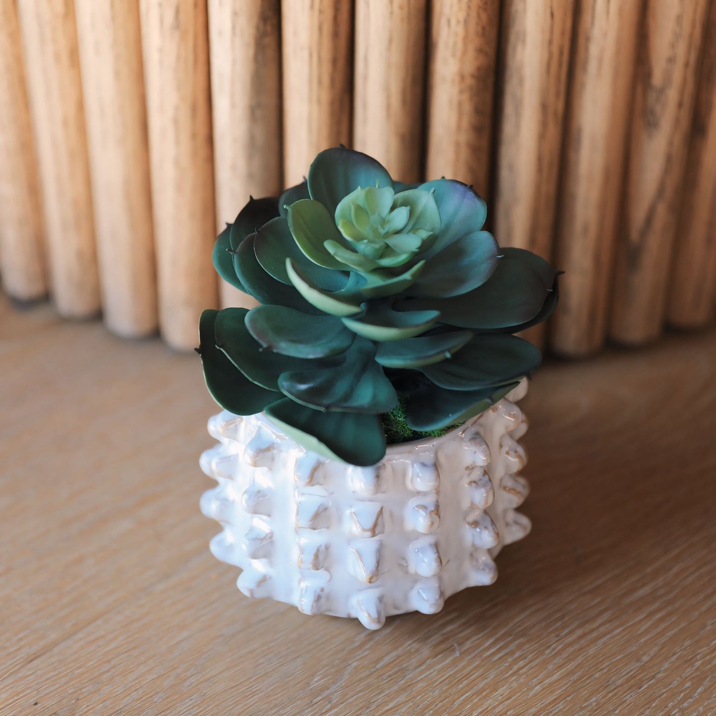 Stoneware Sculptural Planter w/ Succulent