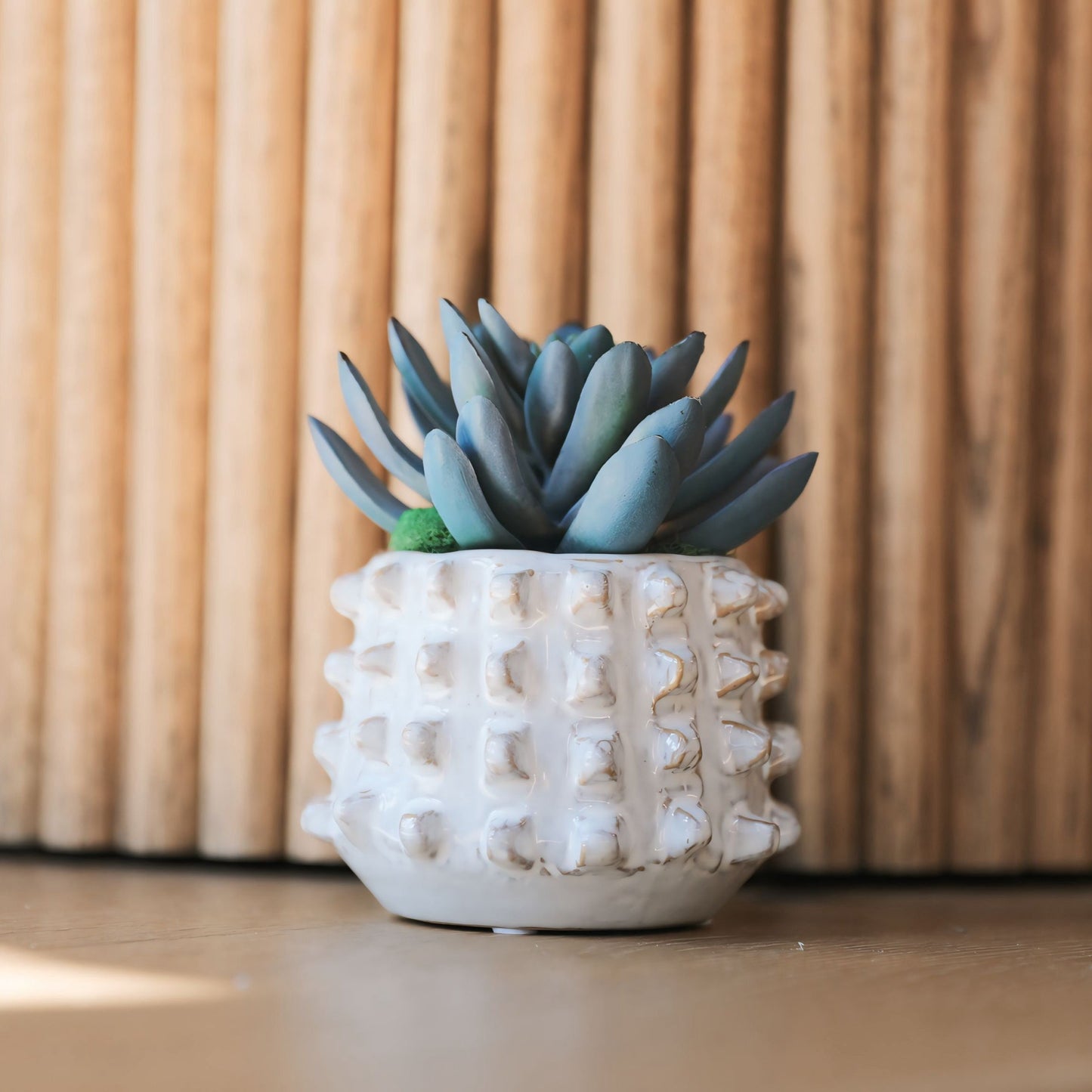Stoneware sculptural planter with succulent