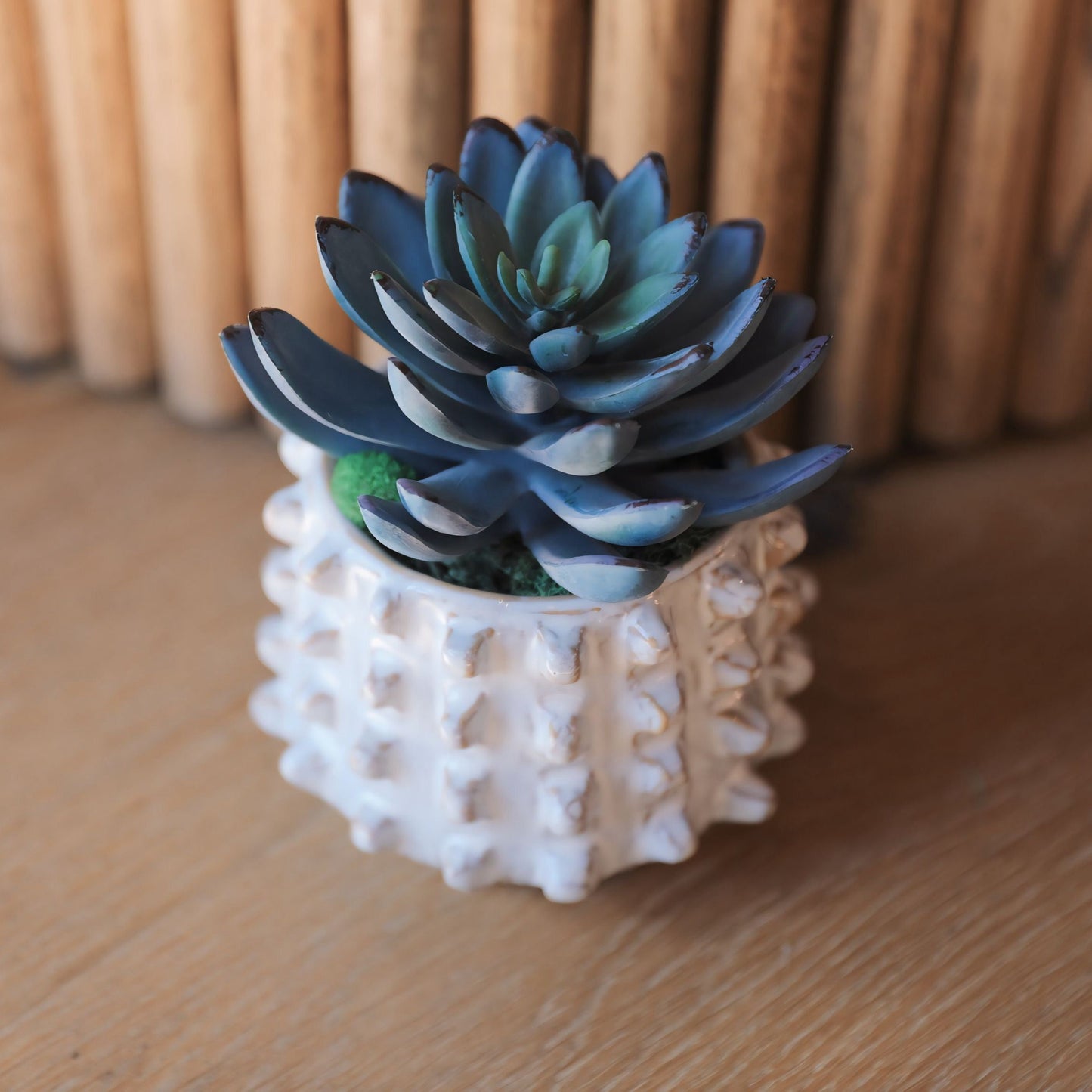 Stoneware sculptural planter with succulent