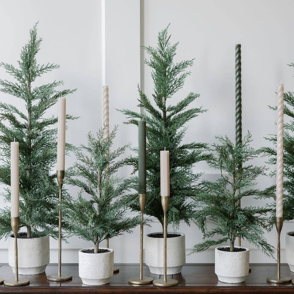 Cedar Tree with Cream Pot