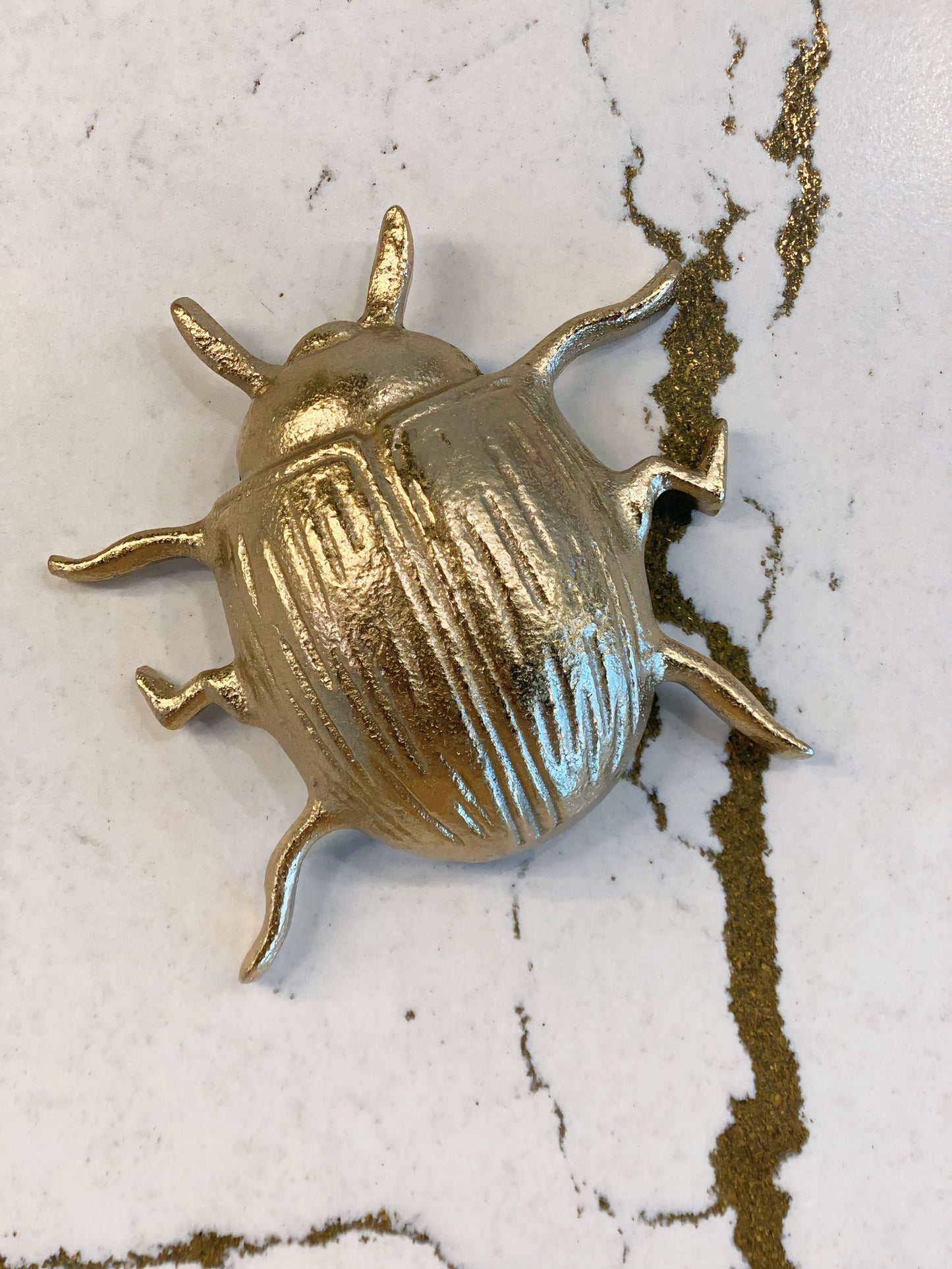 Cast Gold Beetle Medium Wall Decor