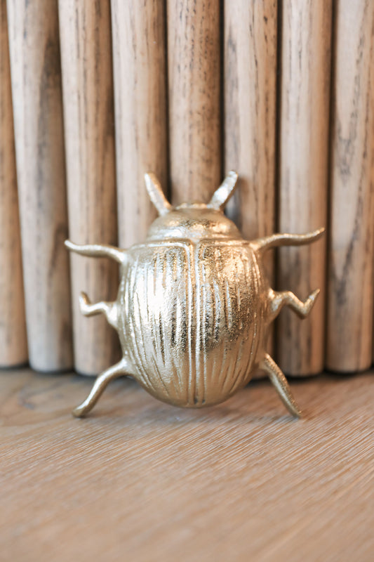 Cast Gold Beetle Medium Wall Decor