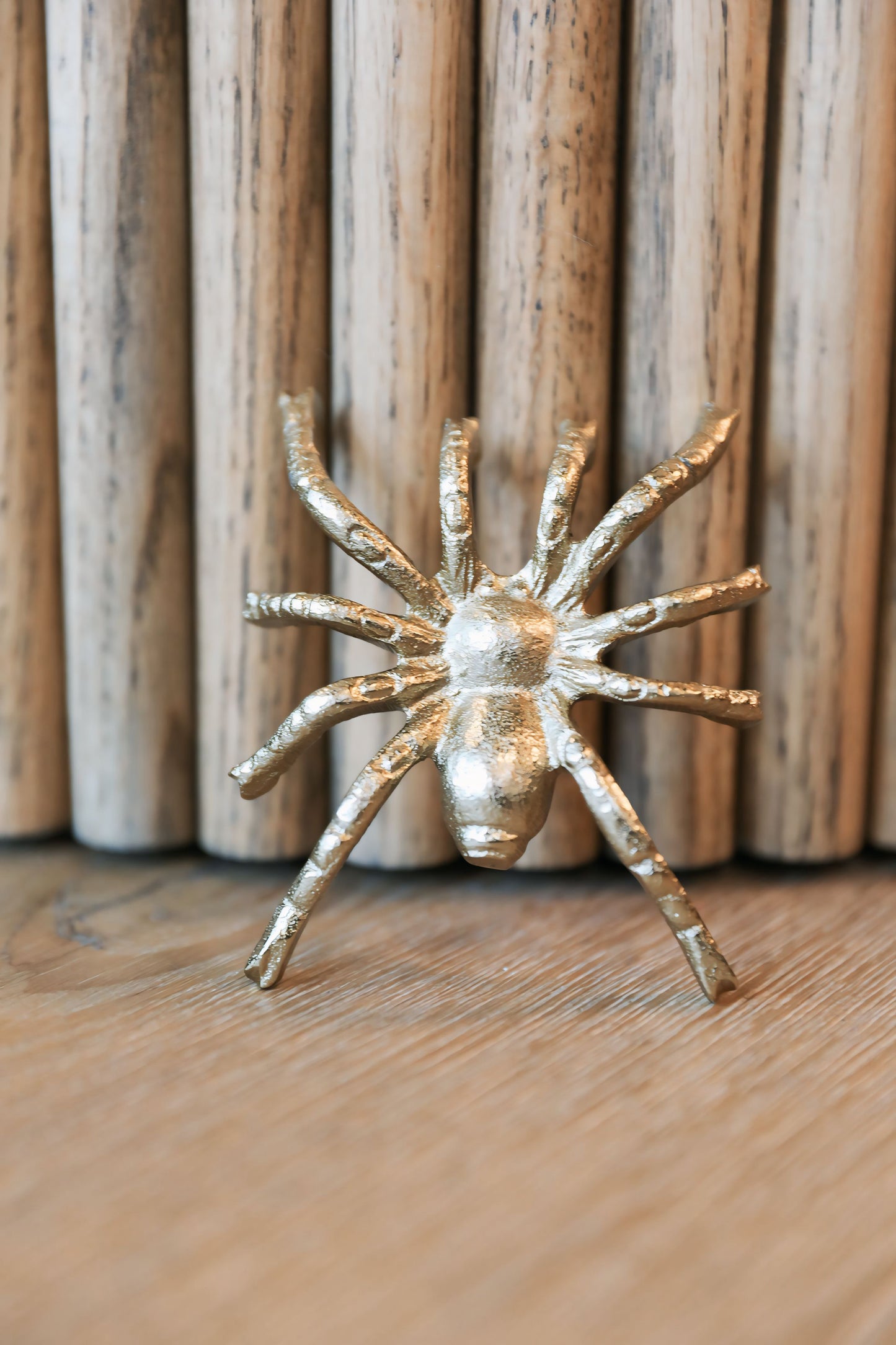 Cast Gold Spider Wall Decor