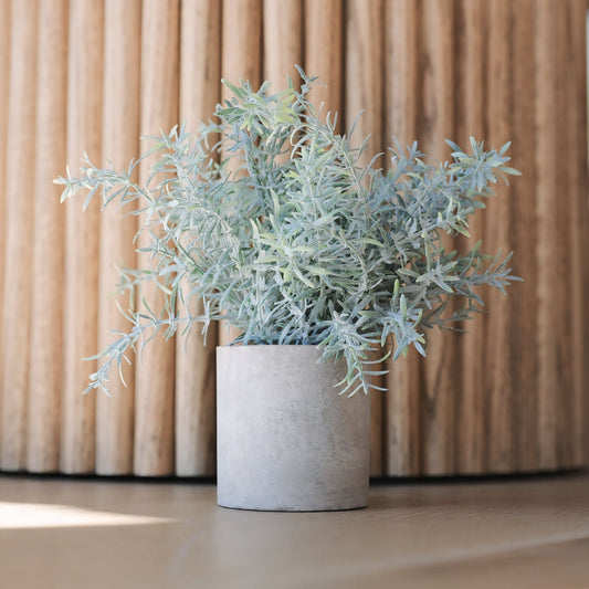 Assorted Greenery Rosemary