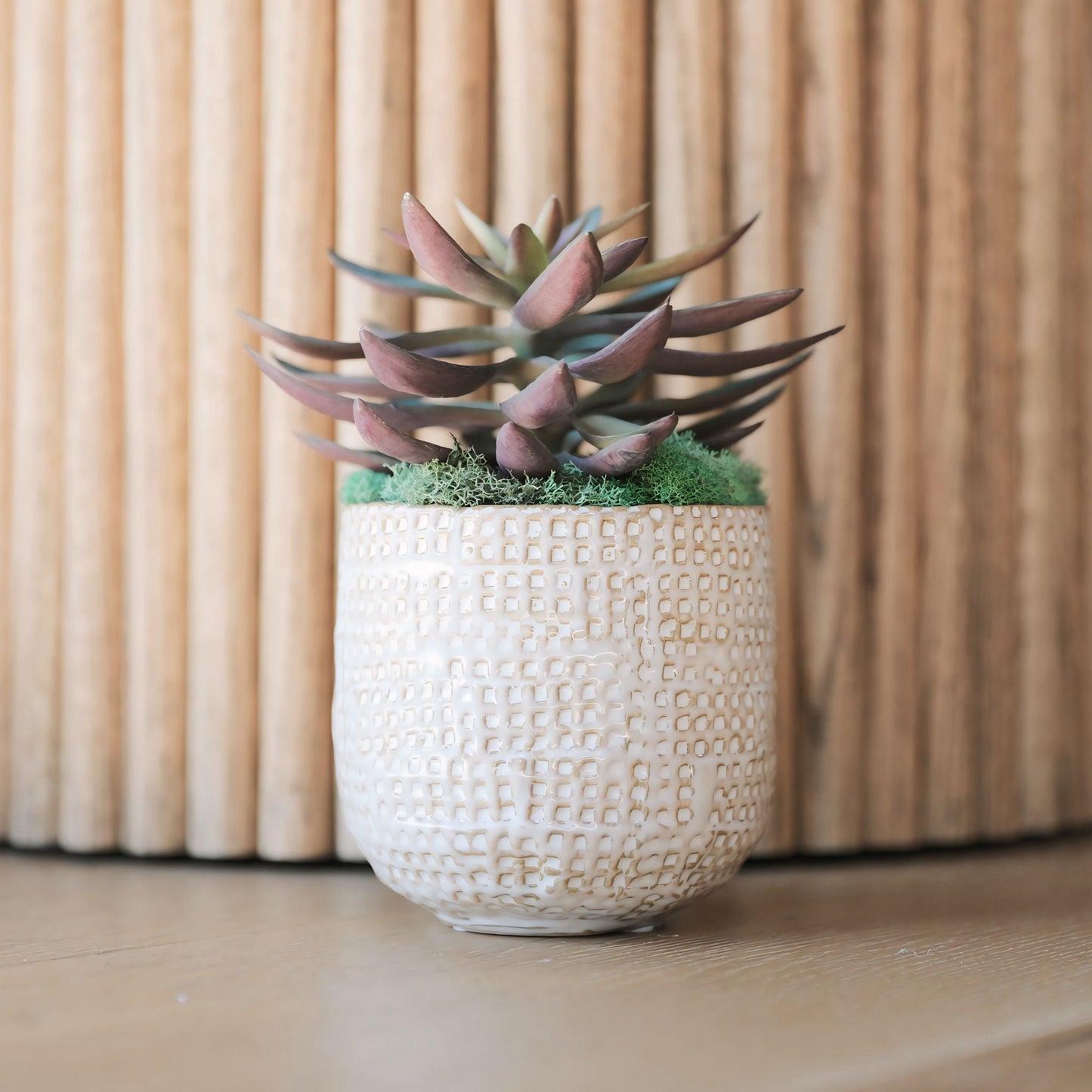 Embossed Stoneware Planter w/ Succulent