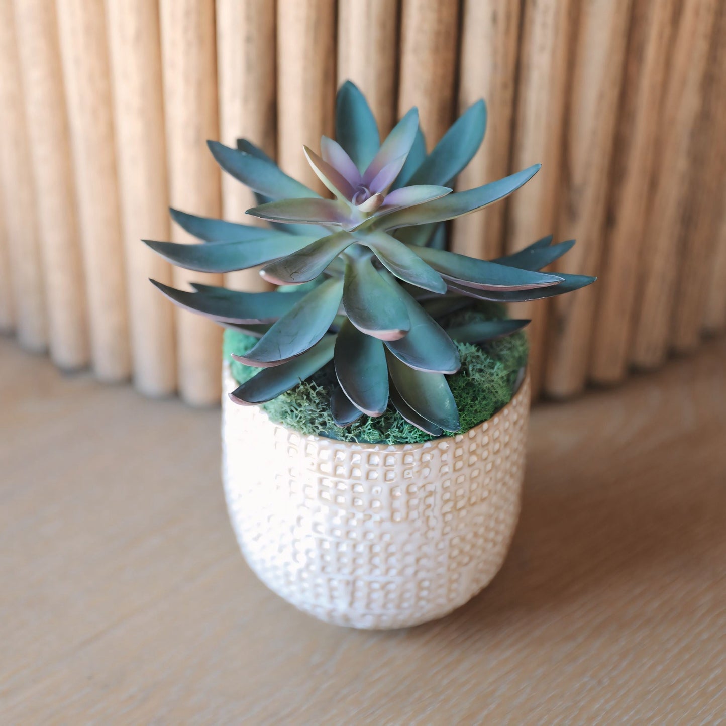 Embossed Stoneware Planter w/ Succulent