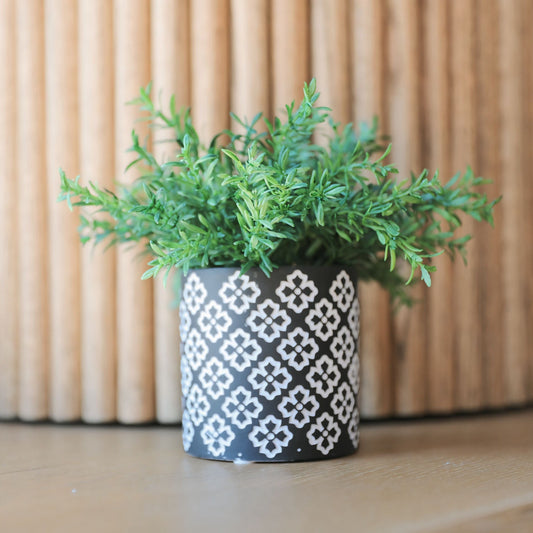 Assorted Greenery Rosemary in Black and White Pot