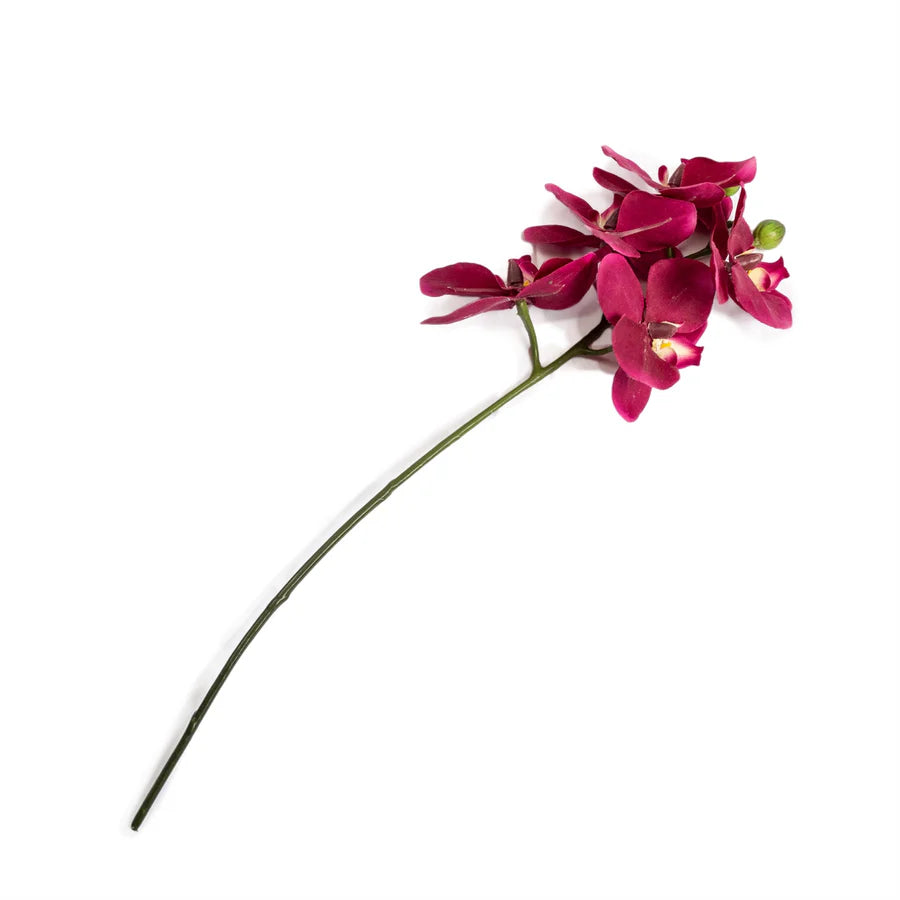 Red Orchid Stem