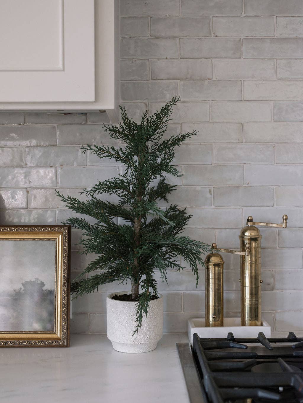 Cedar Tree with Cream Pot